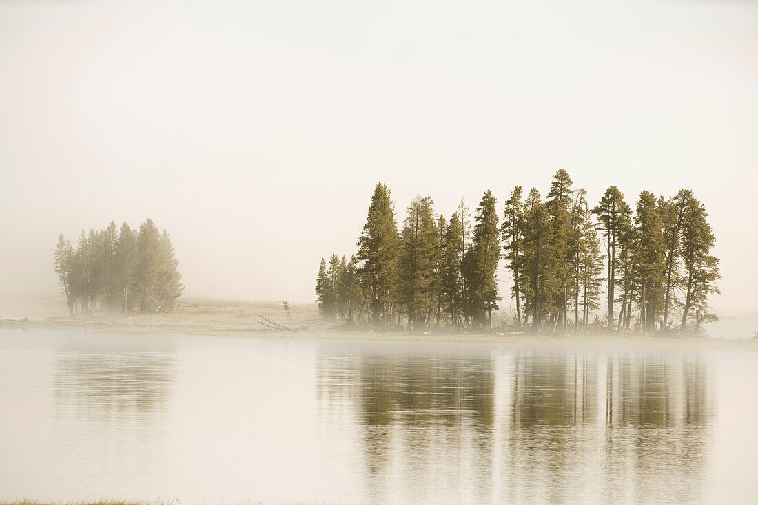 USA, Wyoming, Yellowstone National Park. Morning fog along the Yellowstone River in Yellowstone National Park