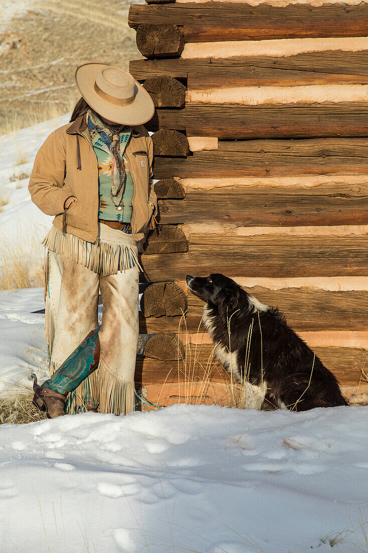 Cowboy horse drive on Hideout Ranch, Shell, Wyoming. Cowgirl leaning up against log cabin with her ranch dog. (MR)