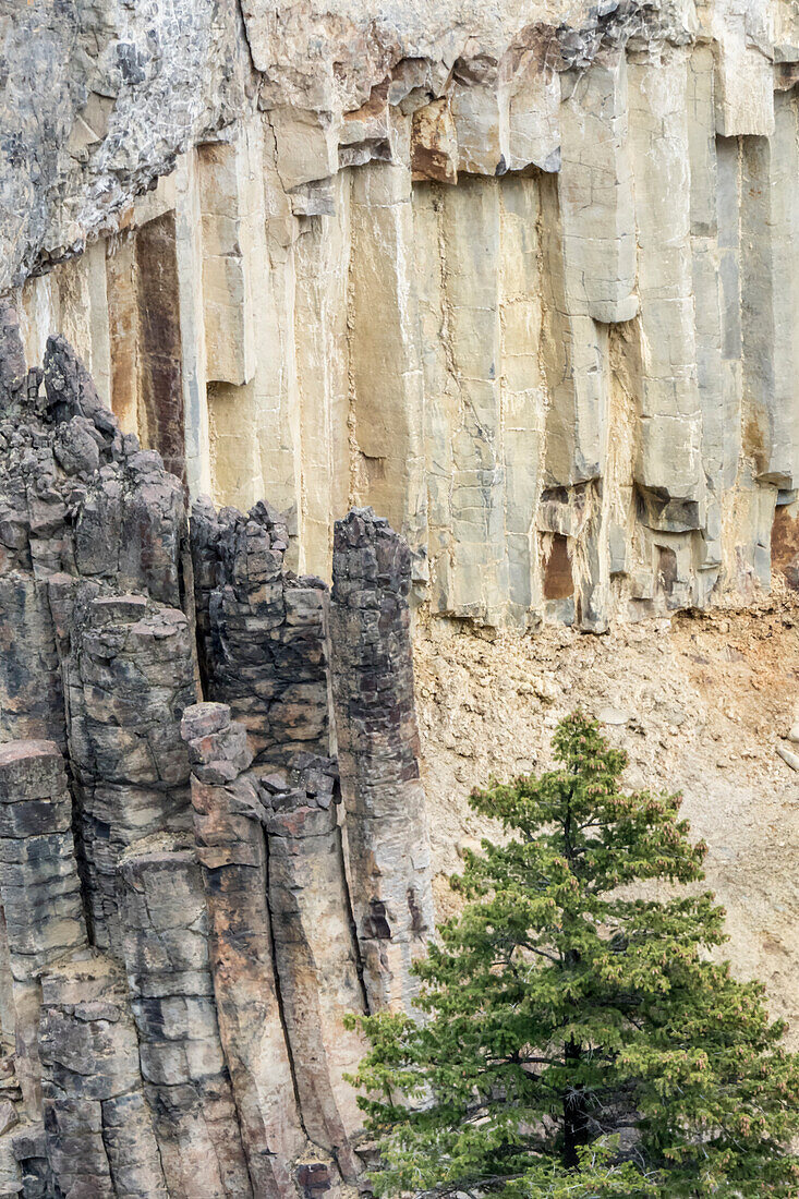 Yellowstone National Park, Wyoming, USA. Rock columns in the canyon north of Tower Fall.