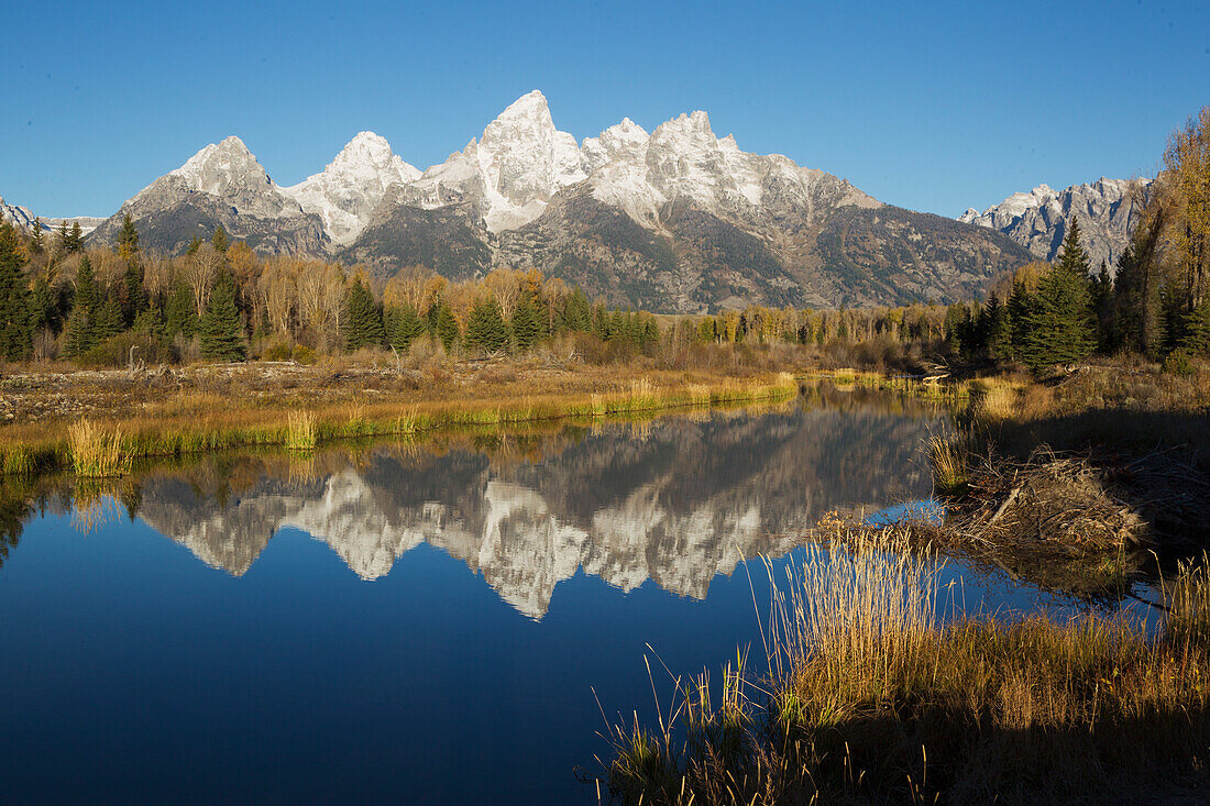 Grand Tetons spiegeln sich im Biberteich