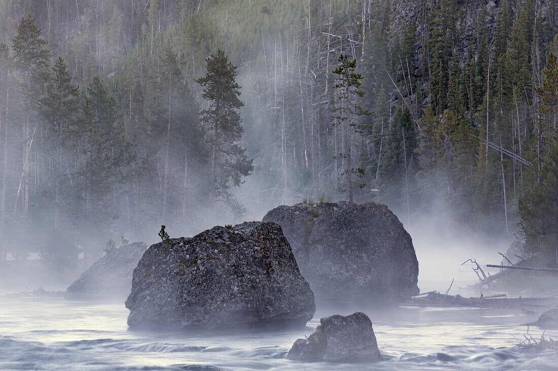 Felsbrocken im Frühnebel, Gibbon River, Yellowstone National Park, Wyoming
