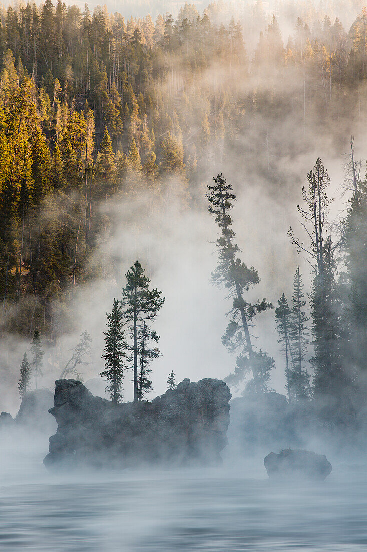 Tees and boulders in Yellowstone River at sunrise, Yellowstone National Park, Wyoming.