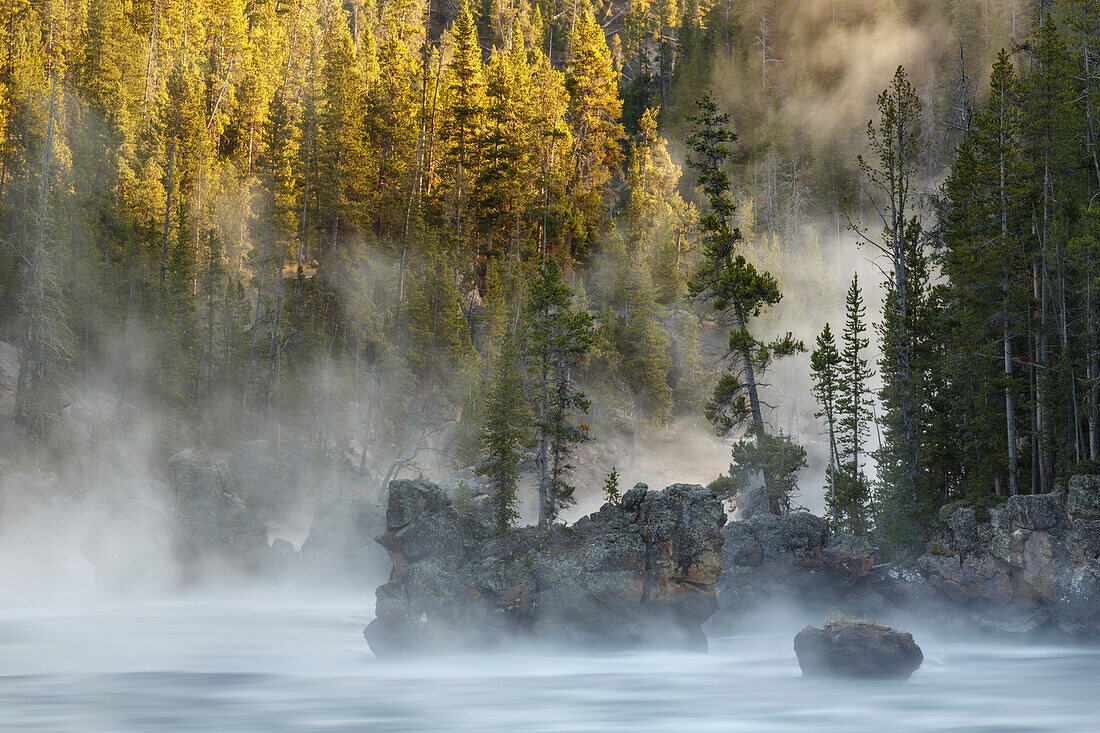 Felsbrocken und Bäume im dampfenden Yellowstone River bei Sonnenaufgang, Yellowstone National Park, Wyoming.