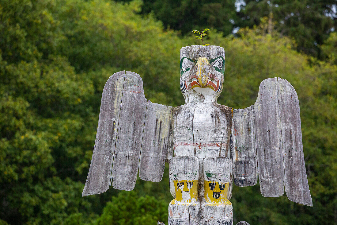 Kwakwaka'wakw totem poles in the cemetery in Alert Bay, Cormorant Island, British Columba, Canada, North America