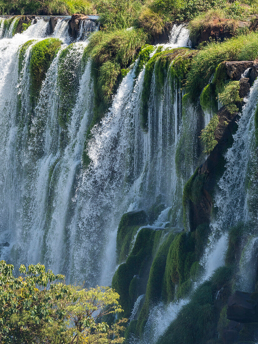 Ein Blick vom unteren Kreislauf der Iguazu-Fälle, UNESCO-Welterbe, Provinz Misiones, Argentinien, Südamerika