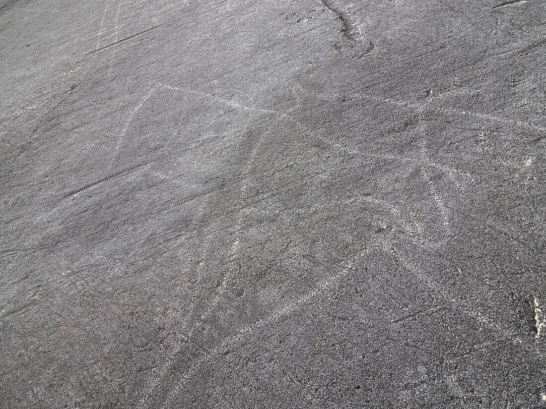 Prähistorische Felszeichnungen, Petroglyphen, in Leiknes, zeigen Jagdszenen, Norwegen, Skandinavien, Europa