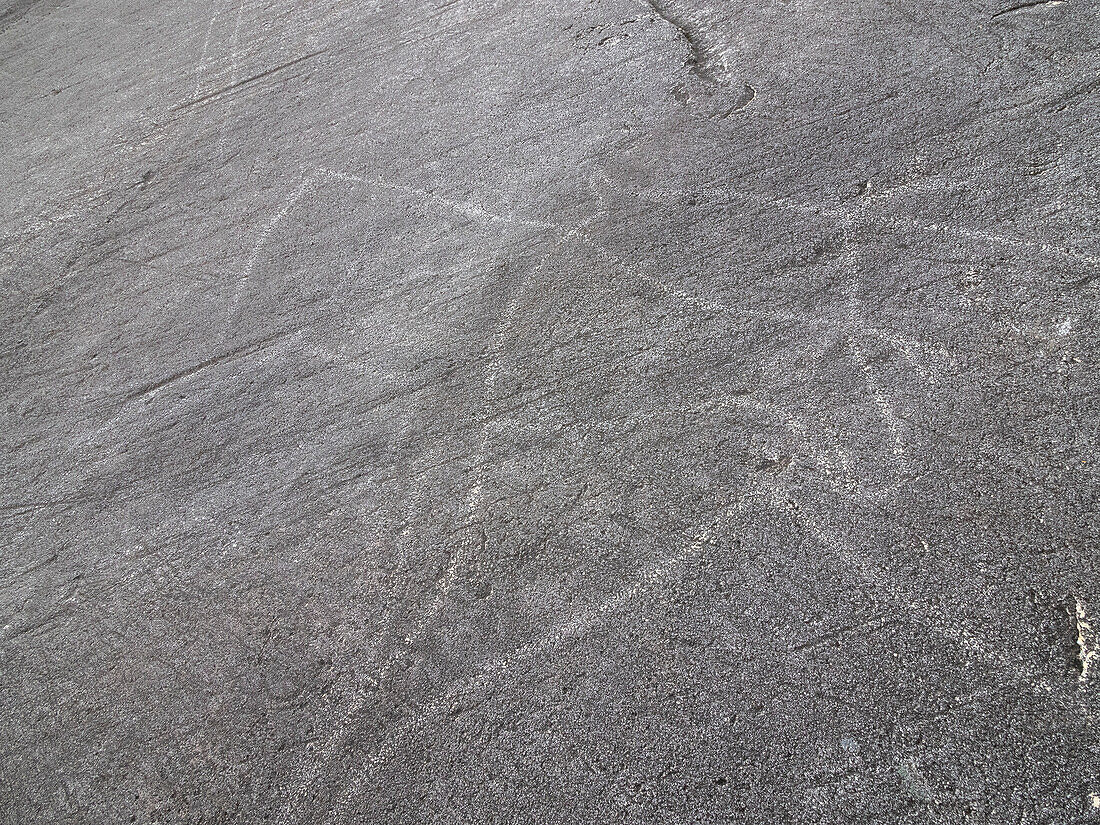 Prehistoric rock carvings, petroglyphs, at Leiknes, showing scenes from hunting, Norway, Scandinavia, Europe