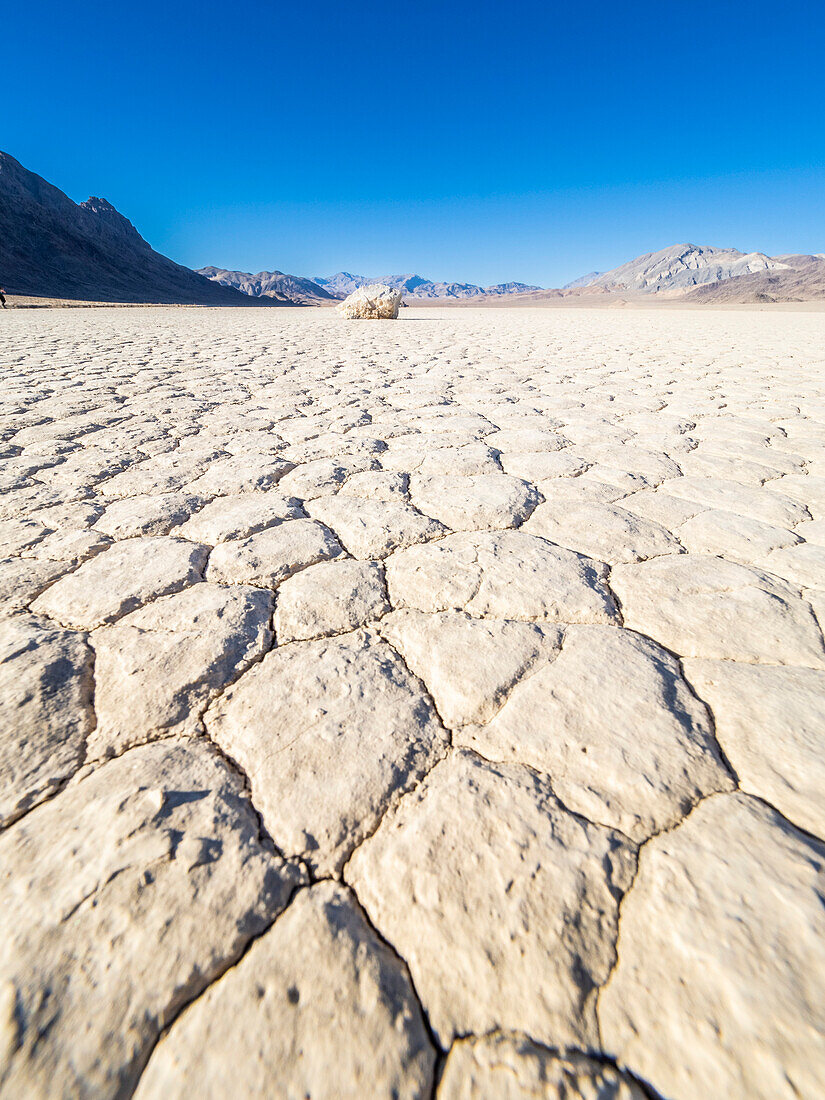 Ein beweglicher Felsen am Racetrack, einem ausgetrockneten Seebett, im Death Valley National Park, Kalifornien, Vereinigte Staaten von Amerika, Nordamerika