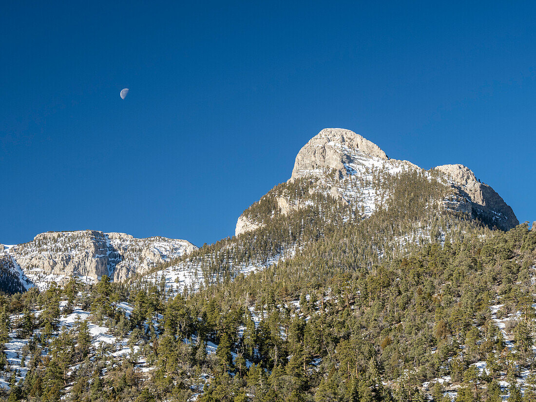 Snow-covered Spring Mountains National Recreation Area, Humboldt-Toiyabe National Forest, Nevada, United States of America, North America