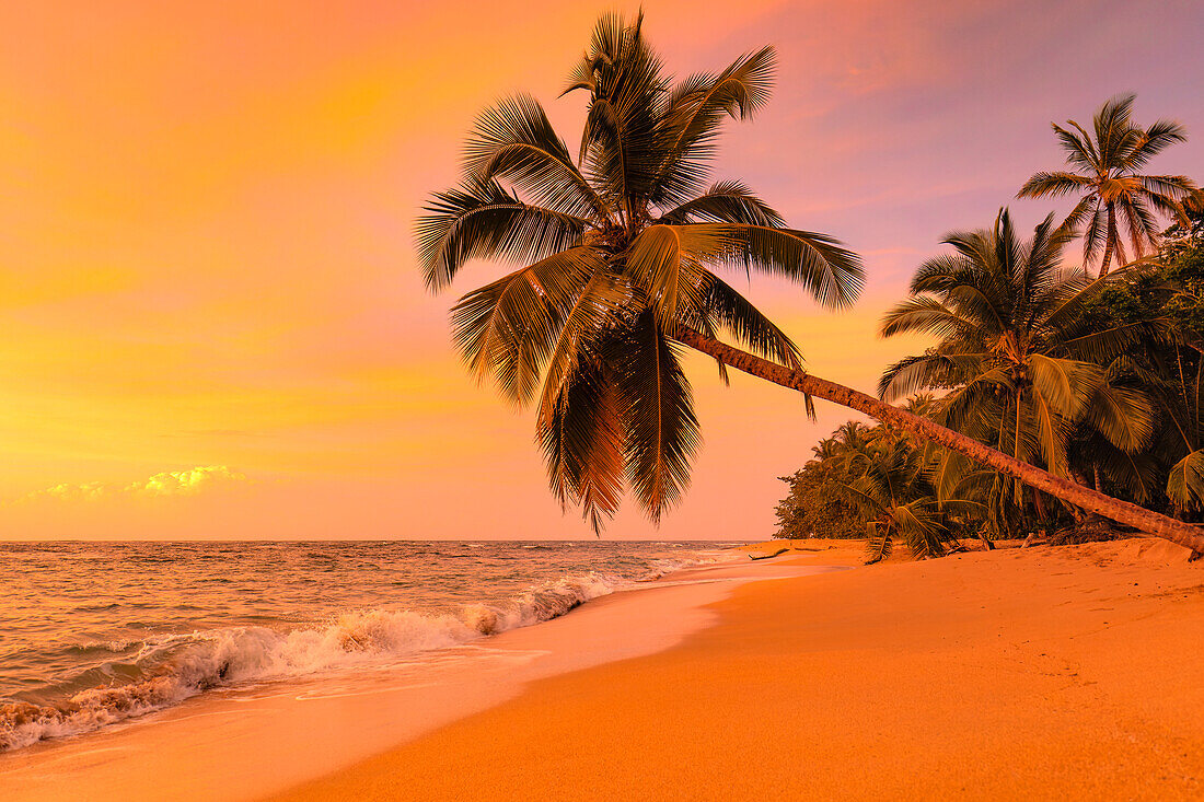 Playa Uva, Karibik, Costa Rica, Mittelamerika