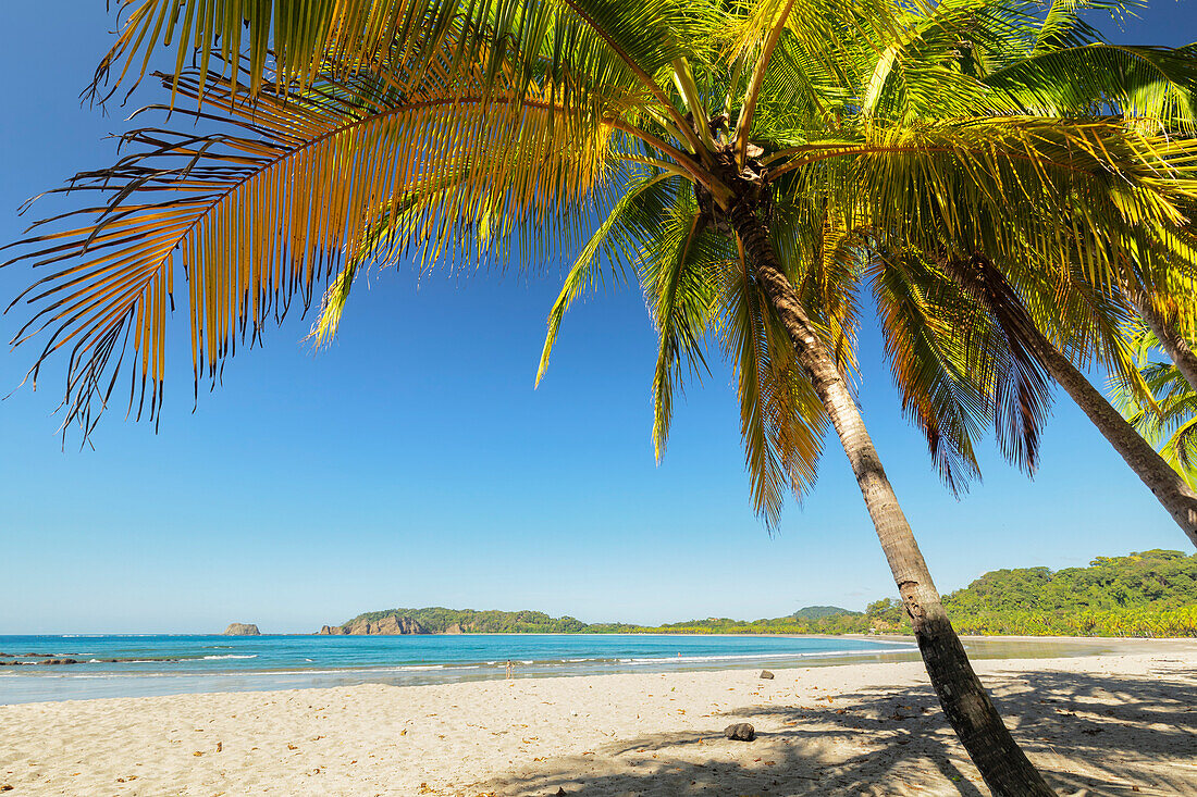 Playa Carrillo, Nicoya Peninsula, Guanacaste, Costa Rica, Central America