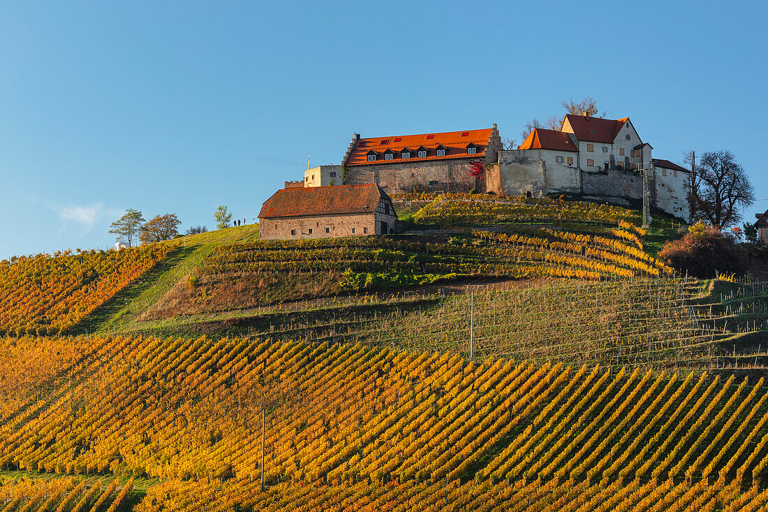 Schloss Staufenberg, Durbach, Schwarzwald, Baden Württemberg, Deutschland, Europa