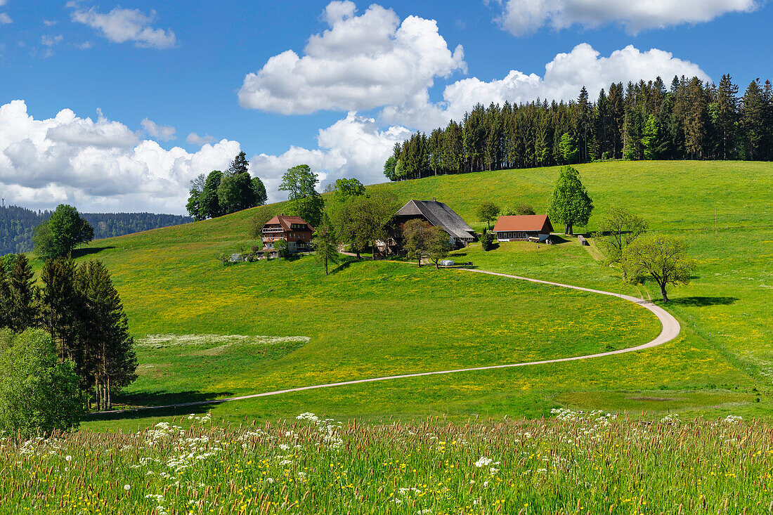 Schwarzwaldhaus, Breitnau, Schwarzwald, Baden-Württemberg, Deutschland, Europa