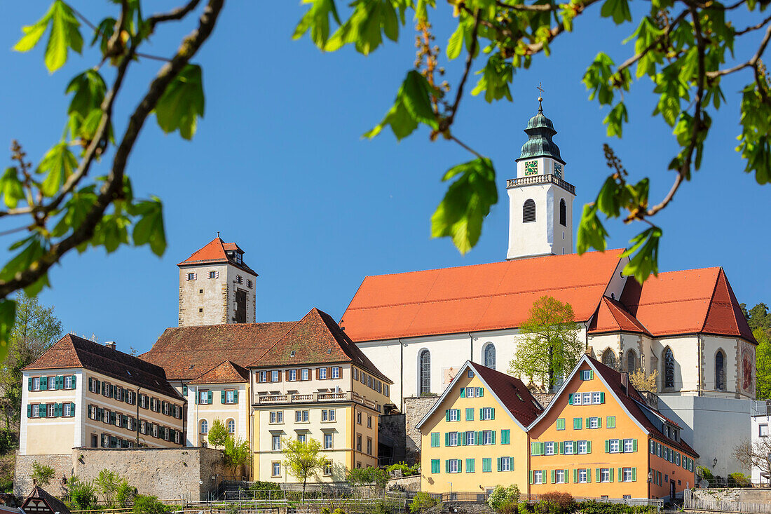 Dominican Monastery with Heilig Kreuz collegiate church, Horb am Neckar, Black Forest, Baden-Wurttemberg, Germany, Europe