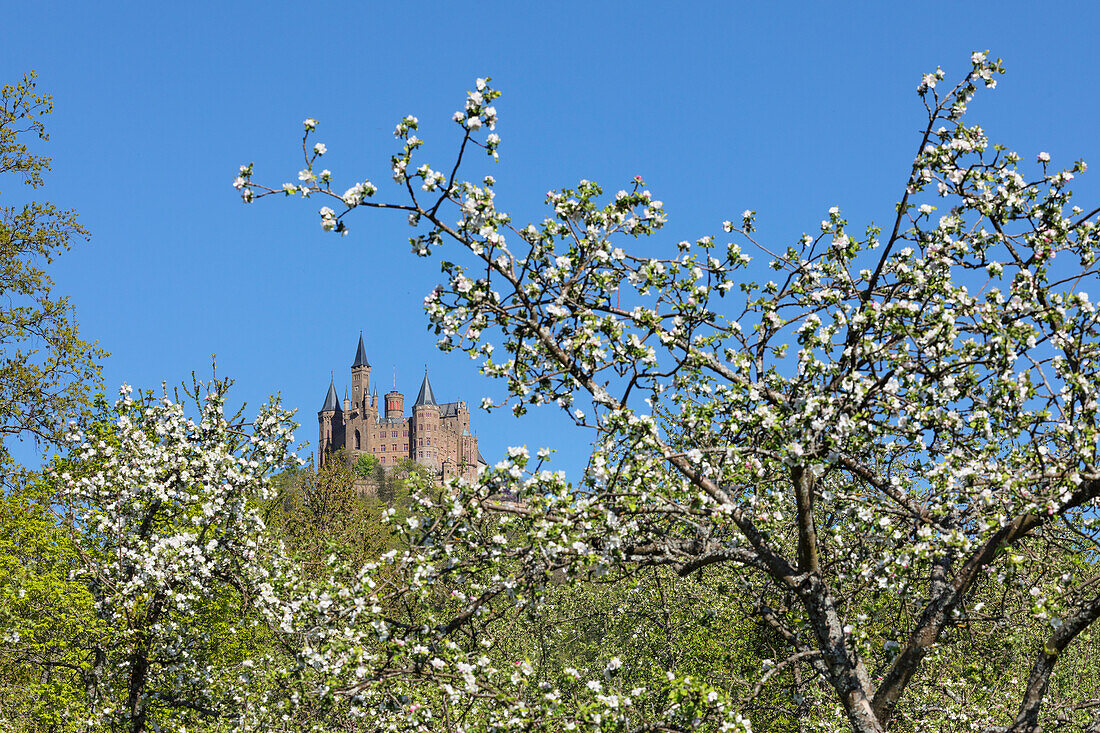 Burg Hohenzollern, Schwäbische Alb, Baden-Württemberg, Deutschland, Europa