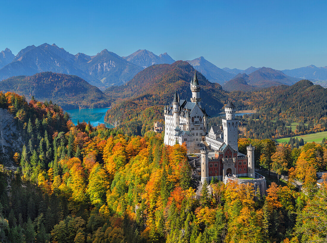 Neuschwanstein Castle, Schwangau, Allgau, Swabia, Bavaria, Germany, Europe