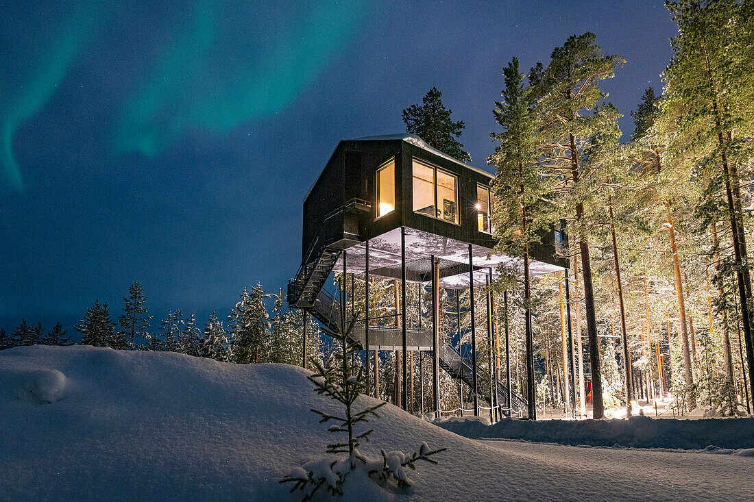 Aurora Borealis (Nordlicht) über dem Waldhäuschen zwischen Bäumen im Schnee, Tree Hotel, Harads, Lappland, Schweden, Skandinavien, Europa