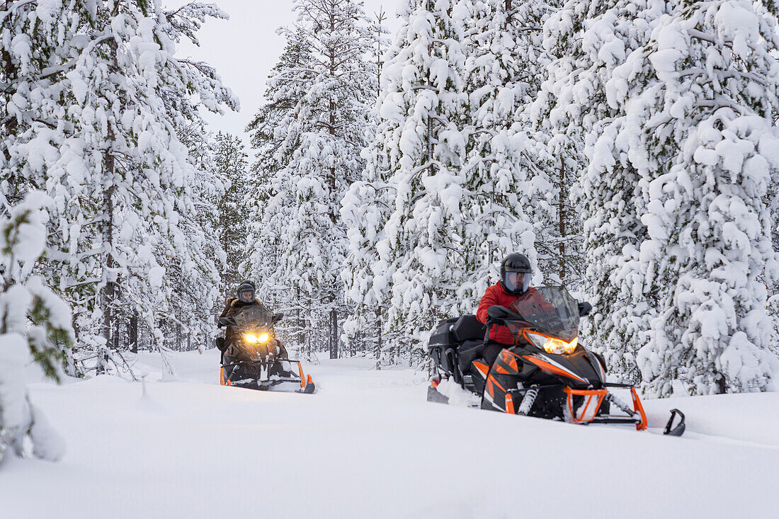 Schneemobil-Tour im verschneiten Wald, Lappland, Schweden, Skandinavien, Europa