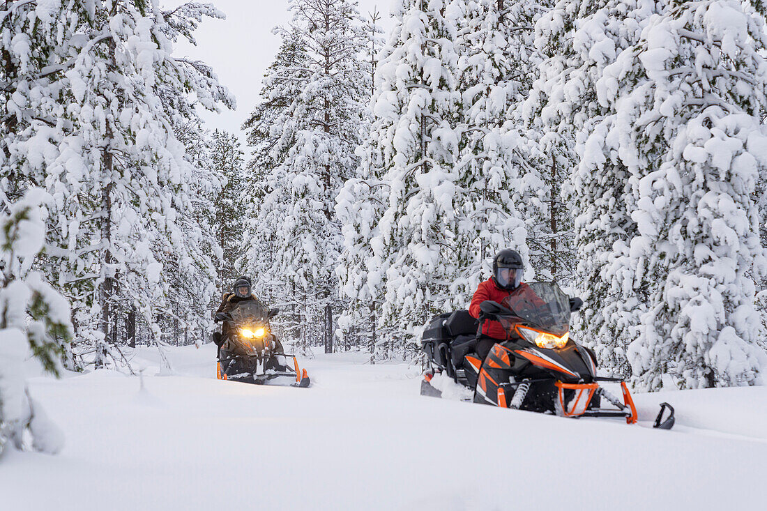 Snowmobile tour in the snowy forest, Lapland, Sweden, Scandinavia, Europe