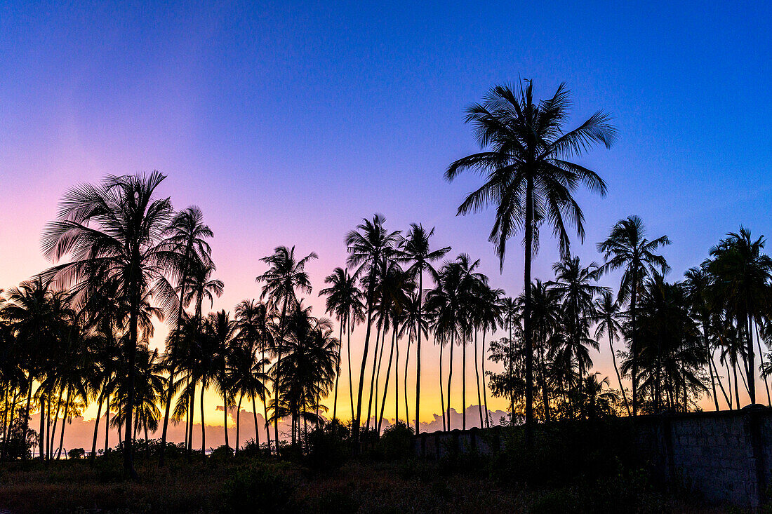 Silhouetten von Palmen unter dem romantischen Himmel in der Morgendämmerung, Sansibar, Tansania, Ostafrika, Afrika