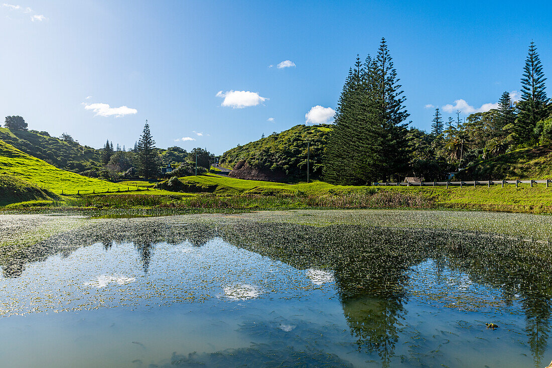 Kleiner Teich in Arthurs Vale, UNESCO-Welterbe, Norfolkinsel, Australien, Pazifik