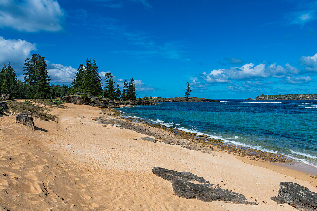 Sandy beach, on Slaughter Bay, UNESCO World Heritage Site, Norfolk Island, Australia, Pacific