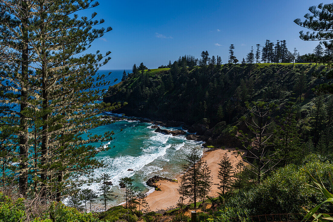 Blick über die Anson Bay, Norfolkinsel, Australien, Pazifik