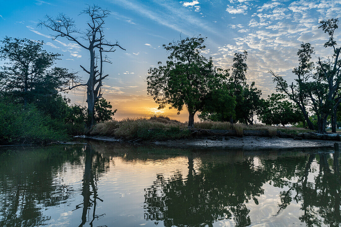 Morgenlicht im River Gambia National Park, Gambia, Westafrika, Afrika