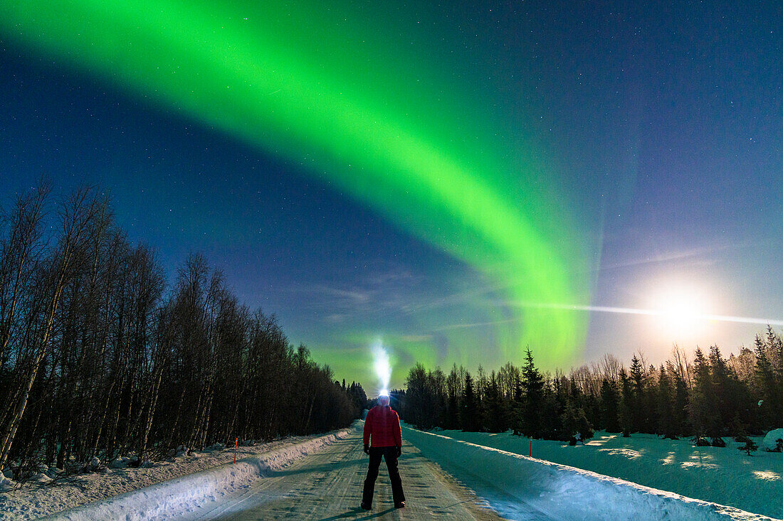 Wanderer mit Taschenlampe bewundert den Sternenhimmel mit Aurora Borealis (Nordlicht) in der Mitte einer leeren verschneiten Straße, Levi, Kittila, Lappland, Finnland, Europa