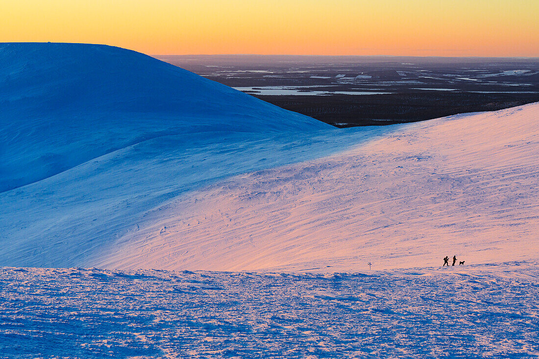 Zwei Wanderer und Hund beim Schneeschuhwandern in verschneiter Landschaft bei Sonnenuntergang, Pallas-Yllastunturi-Nationalpark, Muonio, Lappland, Finnland, Europa