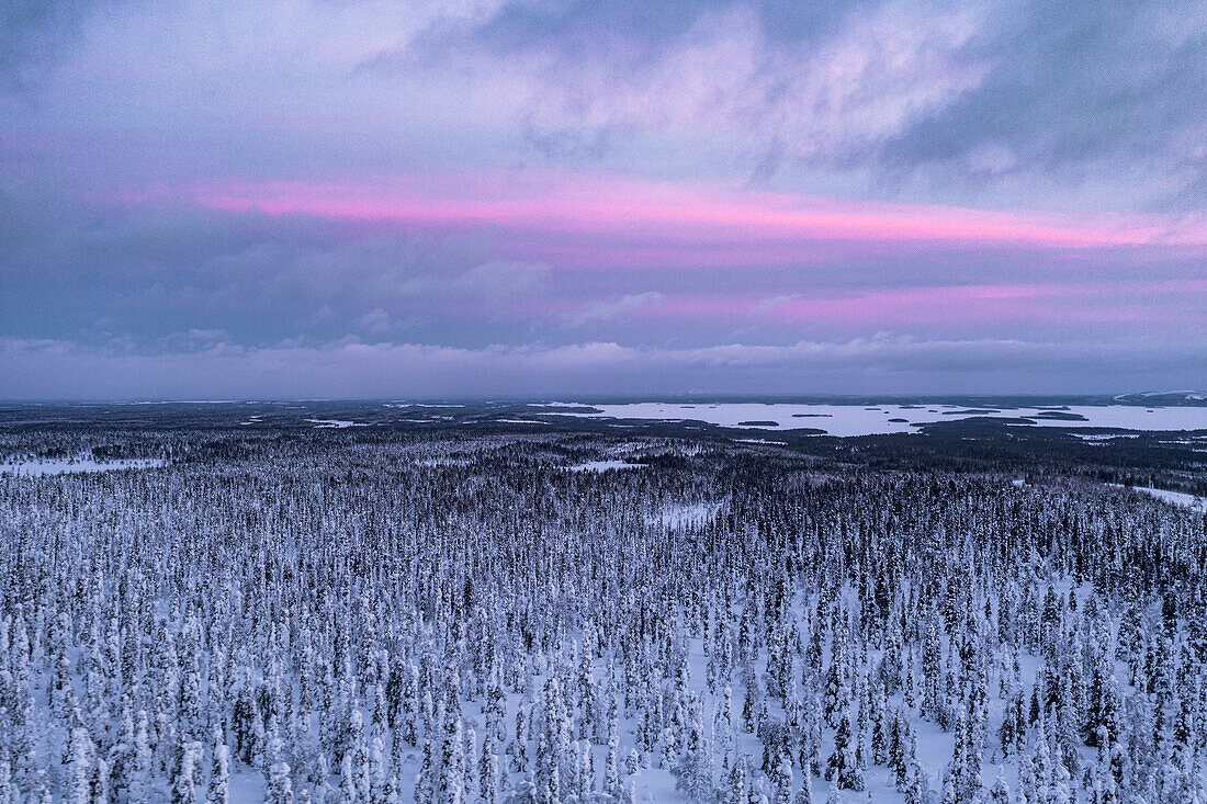 Luftaufnahme des arktischen verschneiten Waldes bei Sonnenuntergang, Riisitunturi-Nationalpark, Posio, Lappland, Finnland, Europa