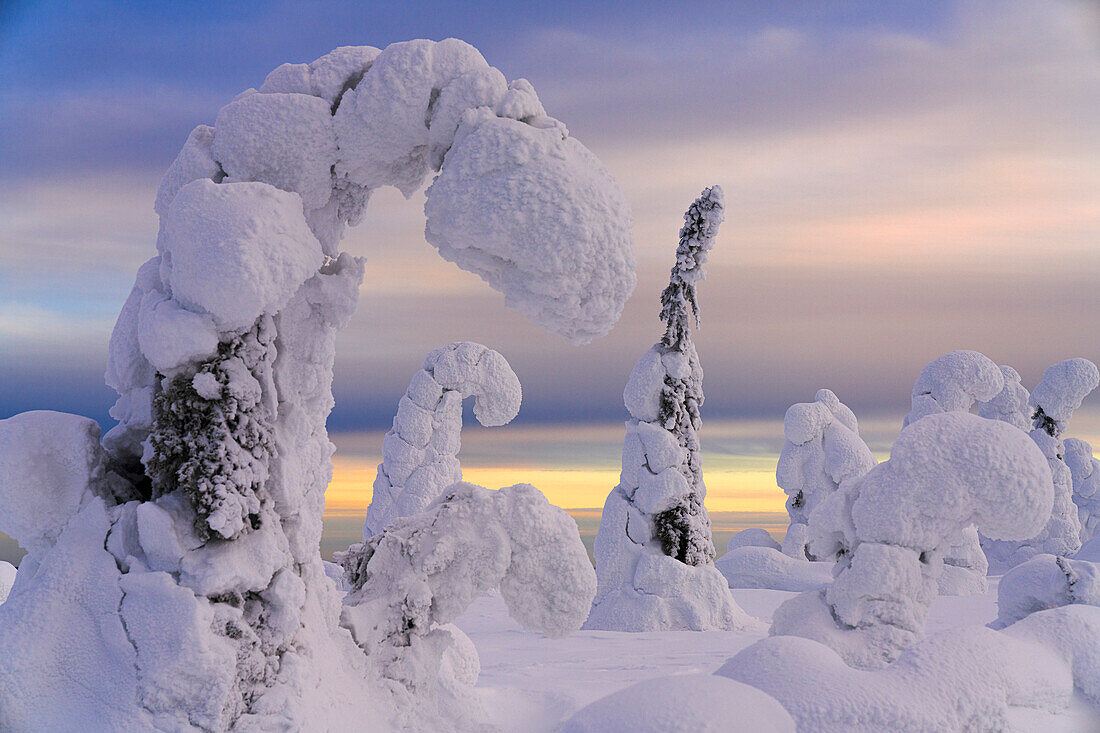 Gefrorene, verschneite Bäume in der Winterlandschaft von Finnisch-Lappland, Riisitunturi-Nationalpark, Posio, Lappland, Finnland, Europa