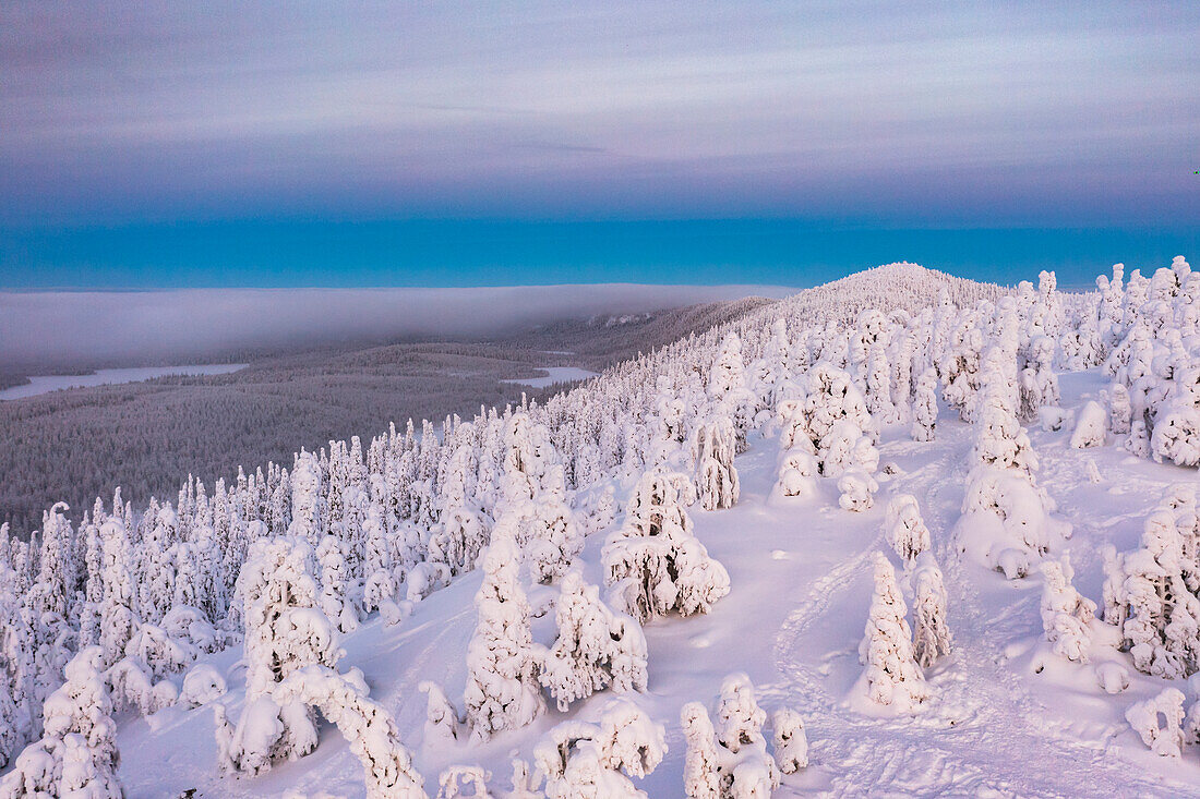 Aerial view of ice sculptures, Oulanka National Park, Ruka Kuusamo, Lapland, Finland, Europe
