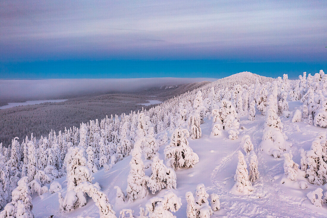 Luftsicht auf Eisskulpturen, Oulanka-Nationalpark, Ruka Kuusamo, Lappland, Finnland, Europa