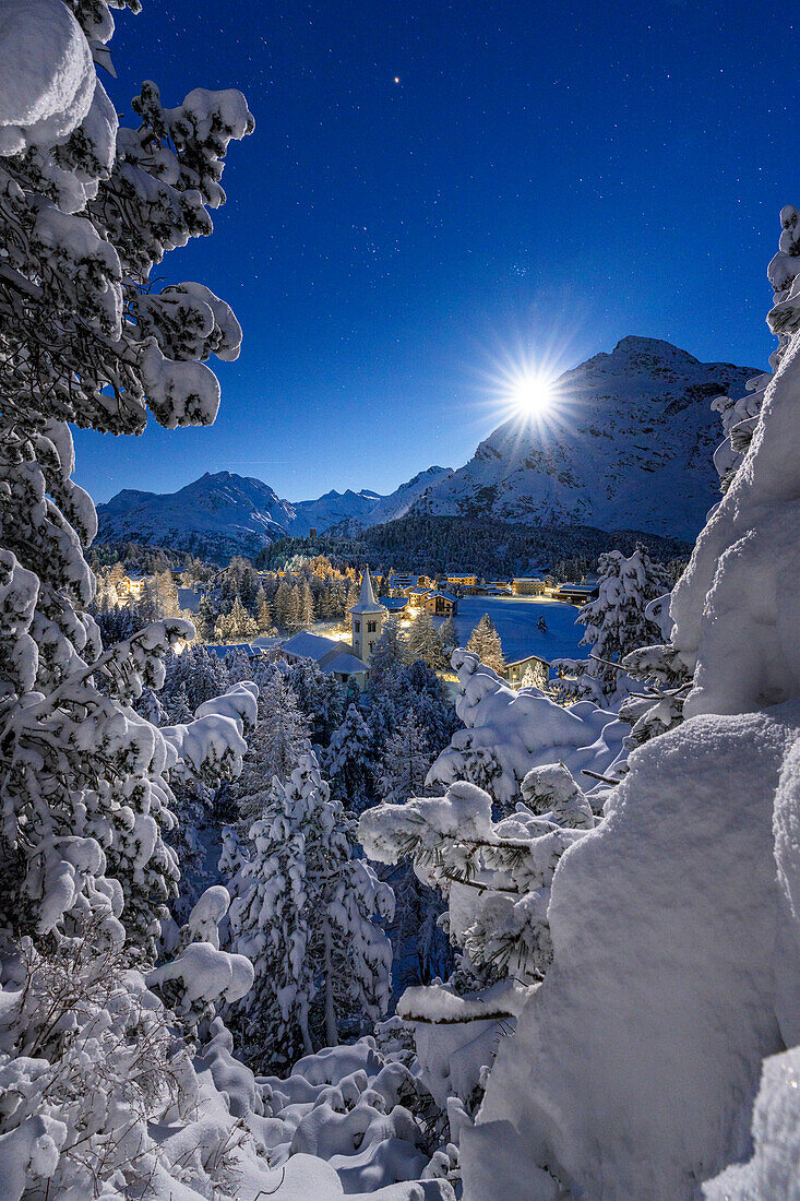 Gefrorene, schneebedeckte Bäume auf den Bergen oberhalb von Chiesa Bianca, beleuchtet vom Mond, Maloja, Bergell, Engadin, Kanton Graubünden, Schweiz, Europa
