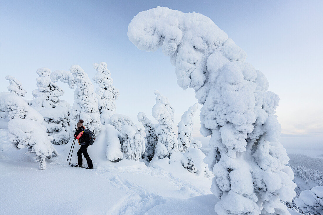 Mittlere erwachsene Frau mit Schneeschuhen betrachtet Eisskulpturen, die in Schnee gehüllt sind, Oulanka Nationalpark, Ruka Kuusamo, Lappland, Finnland, Europa