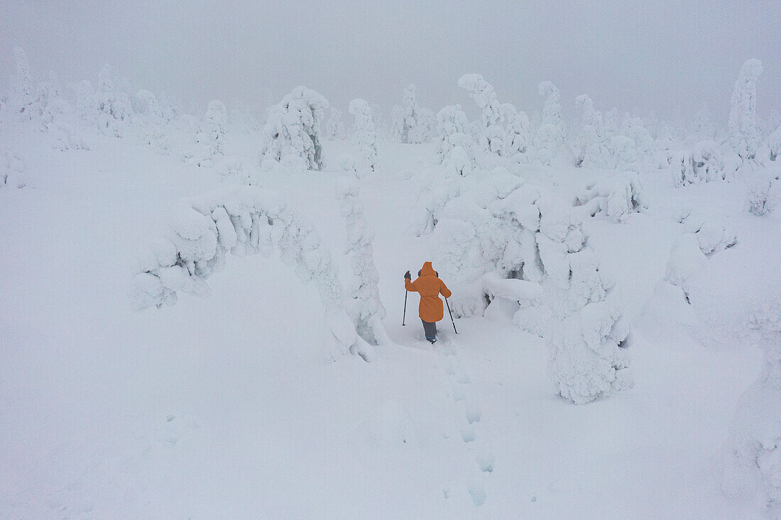 Frau beim Spaziergang im tiefen Schnee unter dem nebligen Himmel in der gefrorenen Landschaft des Riisitunturi-Nationalparks, Posio, Lappland, Finnland, Europa