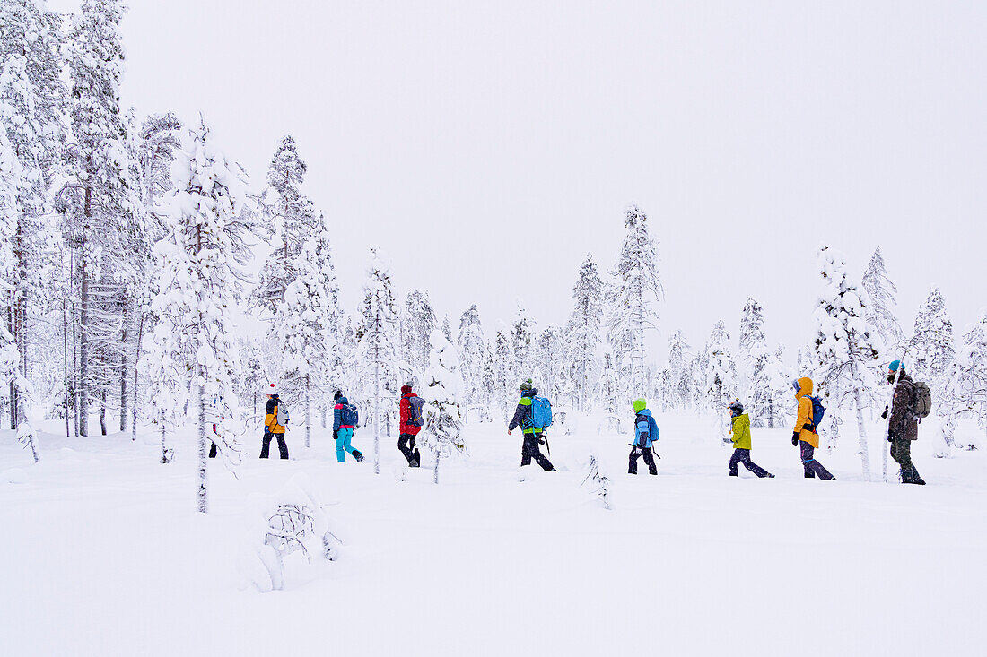 Touristen genießen einen Spaziergang im verschneiten Wald, Iso Syote, Nordösterbotten, Lappland, Finnland, Europa