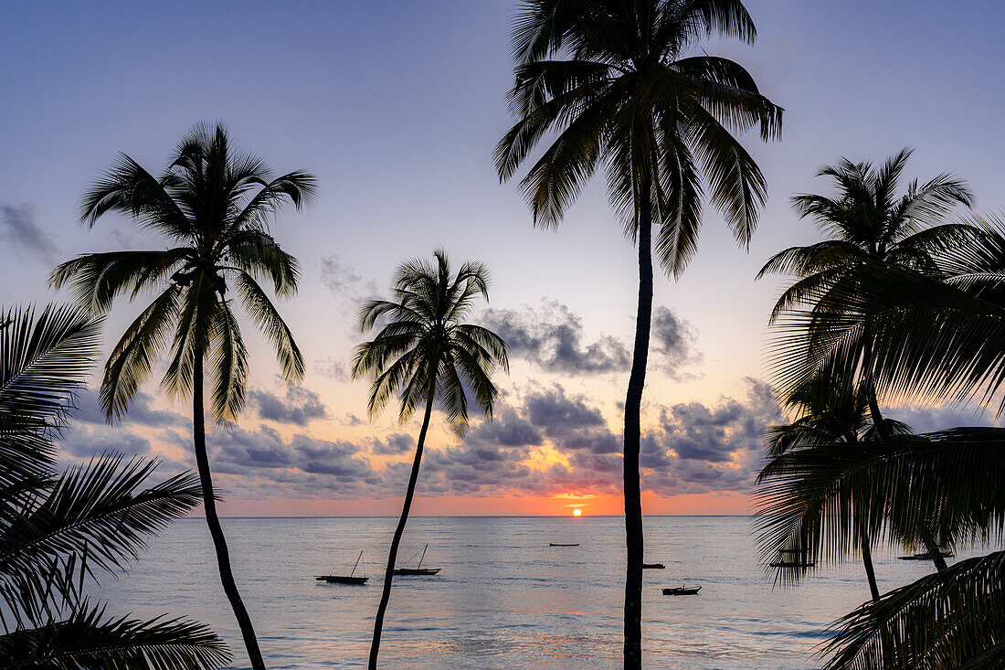 Silhouetten von Palmen mit im Meer vertäuten Booten in der Morgendämmerung im Hintergrund, Jambiani, Sansibar, Tansania, Ostafrika, Afrika