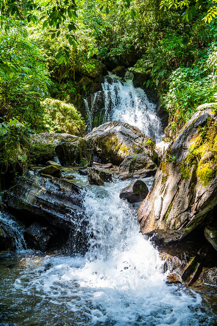 Couto-Wasserfall, Atlantikwald-Reservat Süd-Ost, UNESCO-Welterbe, Alto Ribeira Touristic State Park, Bundesstaat Sao Paulo, Brasilien, Südamerika
