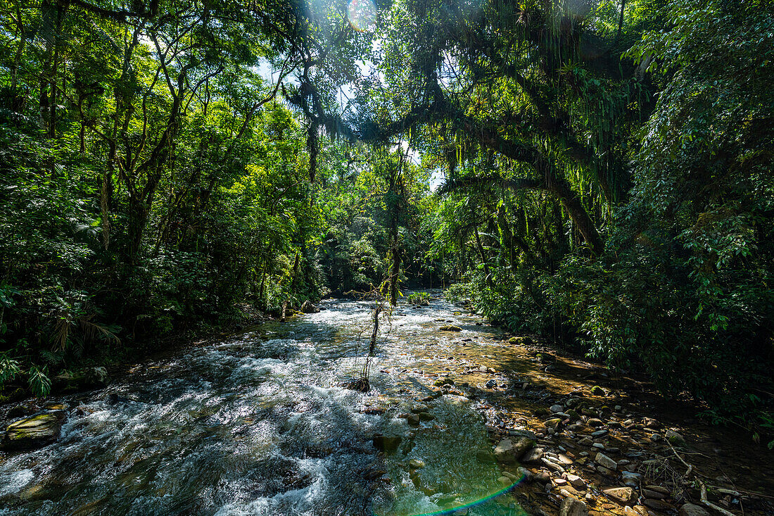 Batari-Fluss, Atlantikwald-Reservat Süd-Ost, UNESCO-Welterbe, Alto Ribeira Touristic State Park, Bundesstaat Sao Paulo, Brasilien, Südamerika