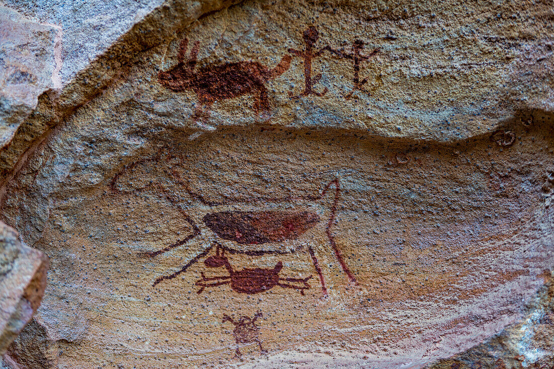 Rock art painting at Pedra Furada, Serra da Capivara National Park, UNESCO World Heritage Site, Piaui, Brazil, South America