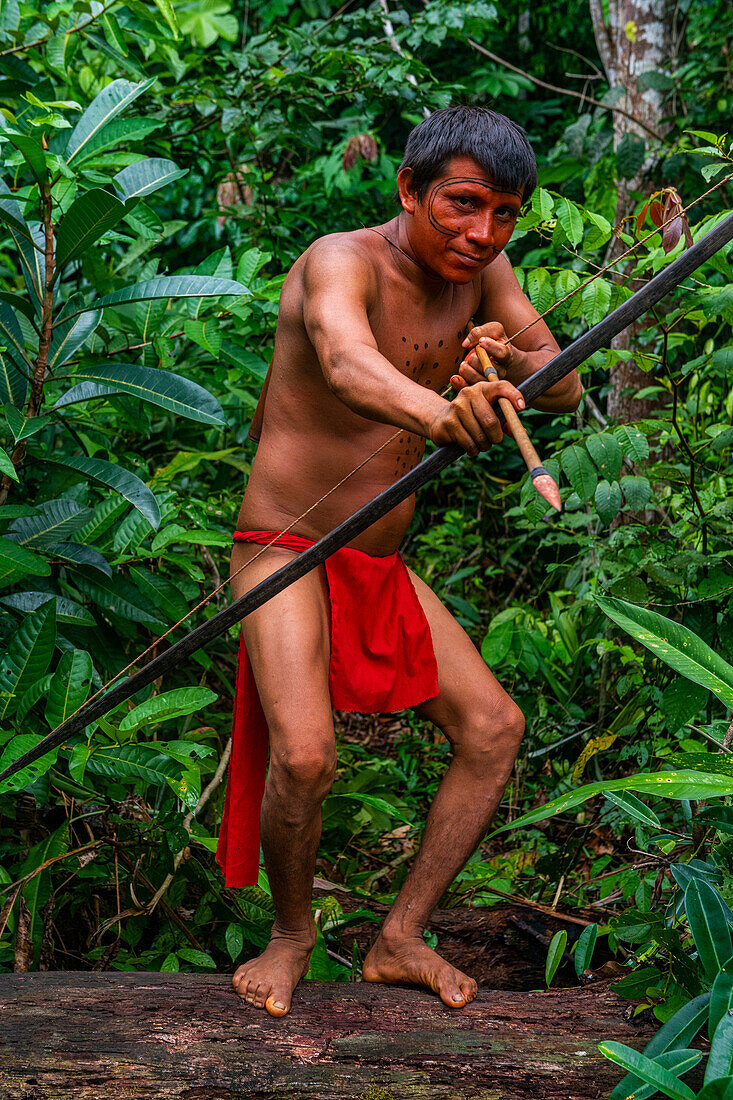 Yanomami-Mann mit Pfeil und Bogen auf einem Baumstamm, Yanomami-Stamm, Südvenezuela, Südamerika