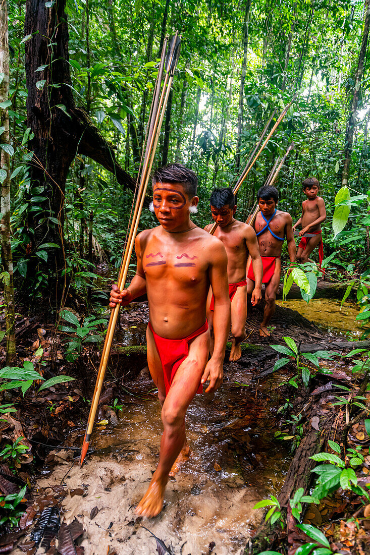 Yanomami tribe walking through the jungle, southern Venezuela, South America