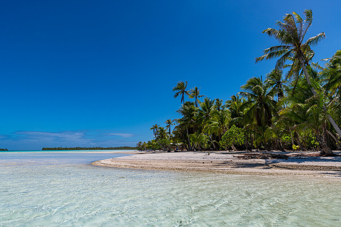 Palmengesäumtes Motu in der Blauen Lagune, Rangiroa-Atoll, Tuamotus, Französisch-Polynesien, Südpazifik, Pazifik