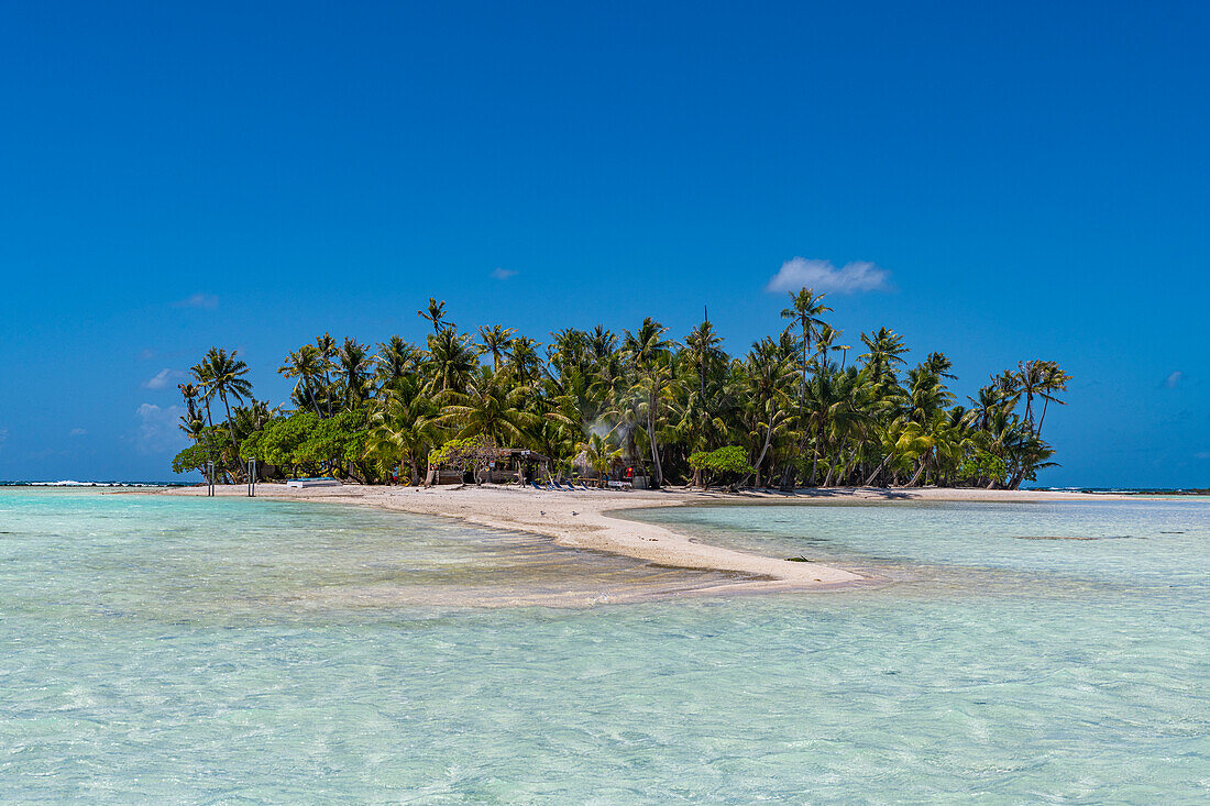 Palmengesäumte Motu in der Blauen Lagune, Rangiroa-Atoll, Tuamotus, Französisch-Polynesien, Südpazifik, Pazifik