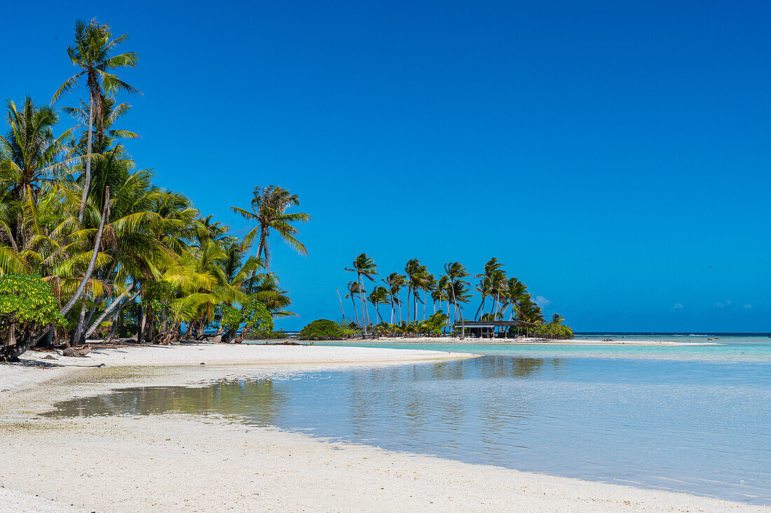 Palmengesäumte Motu in der Blauen Lagune, Rangiroa-Atoll, Tuamotus, Französisch-Polynesien, Südpazifik, Pazifik