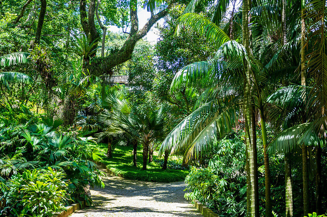 Sitio Roberto Burle Marx, ein Landschaftsgarten, UNESCO-Welterbestätte, Rio de Janeiro, Brasilien, Südamerika