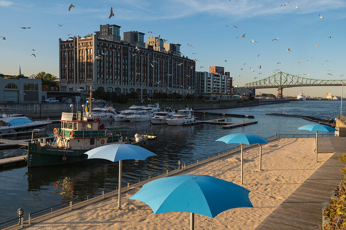 Jachthafen und Sandstrand mit Molsen-Gebäude, Montreal, Québec, Kanada, Nordamerika