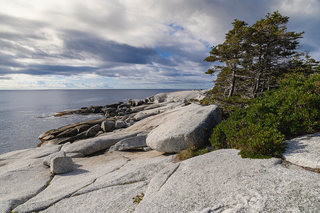 Waves crashing on rocky shore, Crystal Crescent Beach Provincial Park, Nova Scotia, Canada, North America